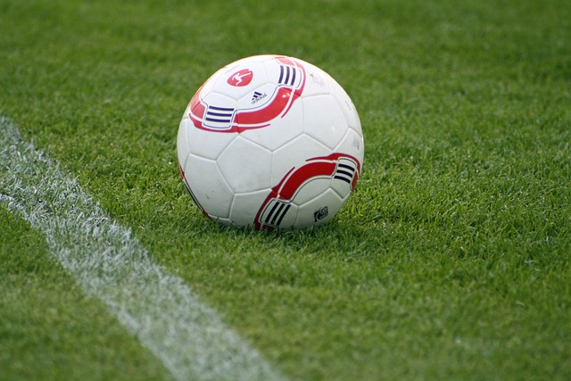 活和諧共存 活和諧共存