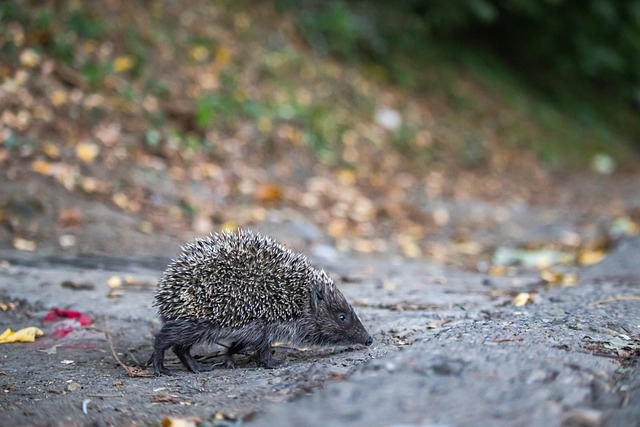 趙麗娜的一 趙麗娜的一