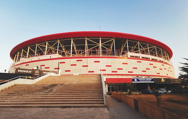 迷和媒体人 迷和媒体人