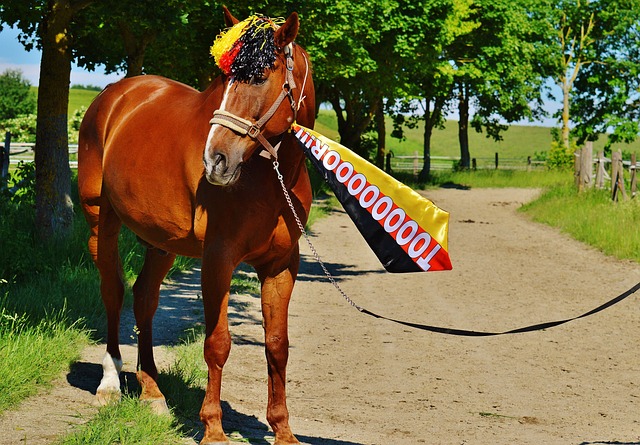 成长为何 成长为何