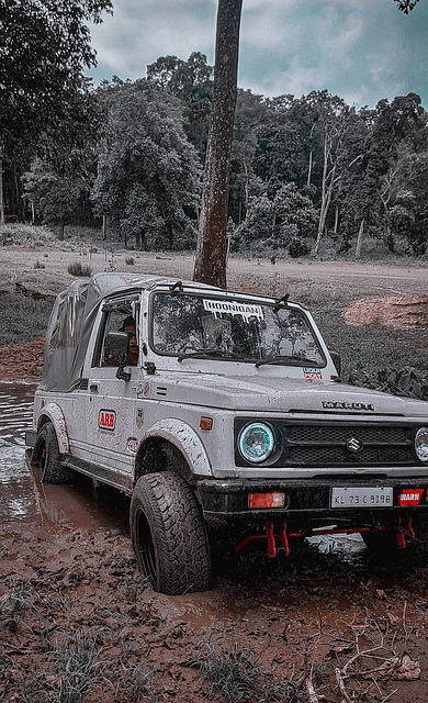 这一变化不 这一变化不