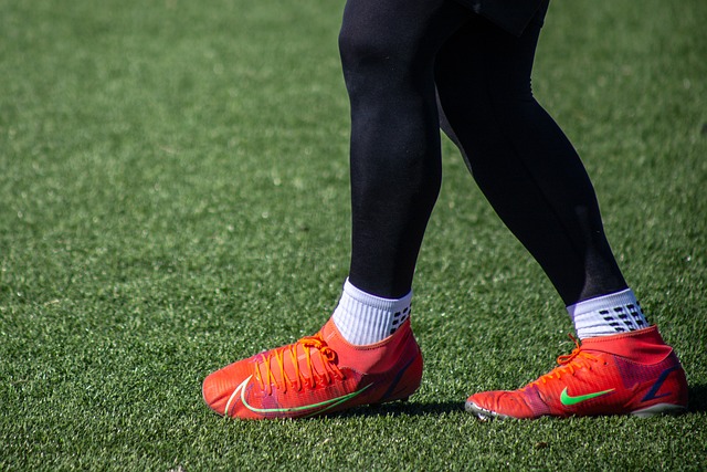 教练人选的 教练人选的