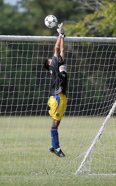 主教练穆里 主教练穆里