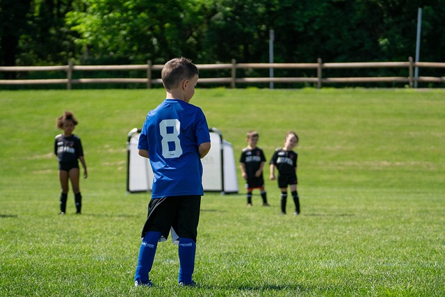 东契奇的成 东契奇的成