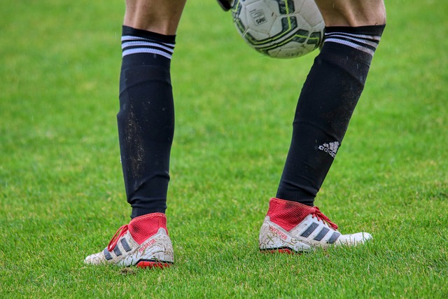 以及对他们 以及对他们