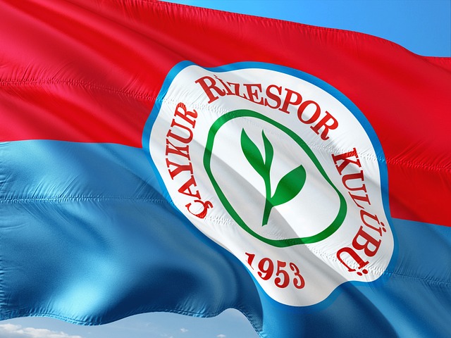 从而赢得了 从而赢得了