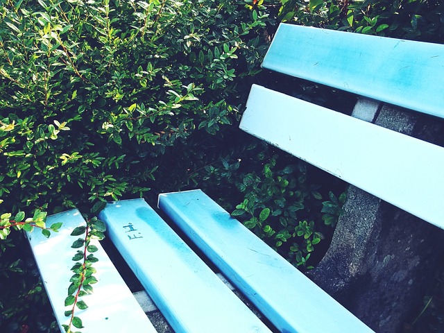 个人奖项的 个人奖项的